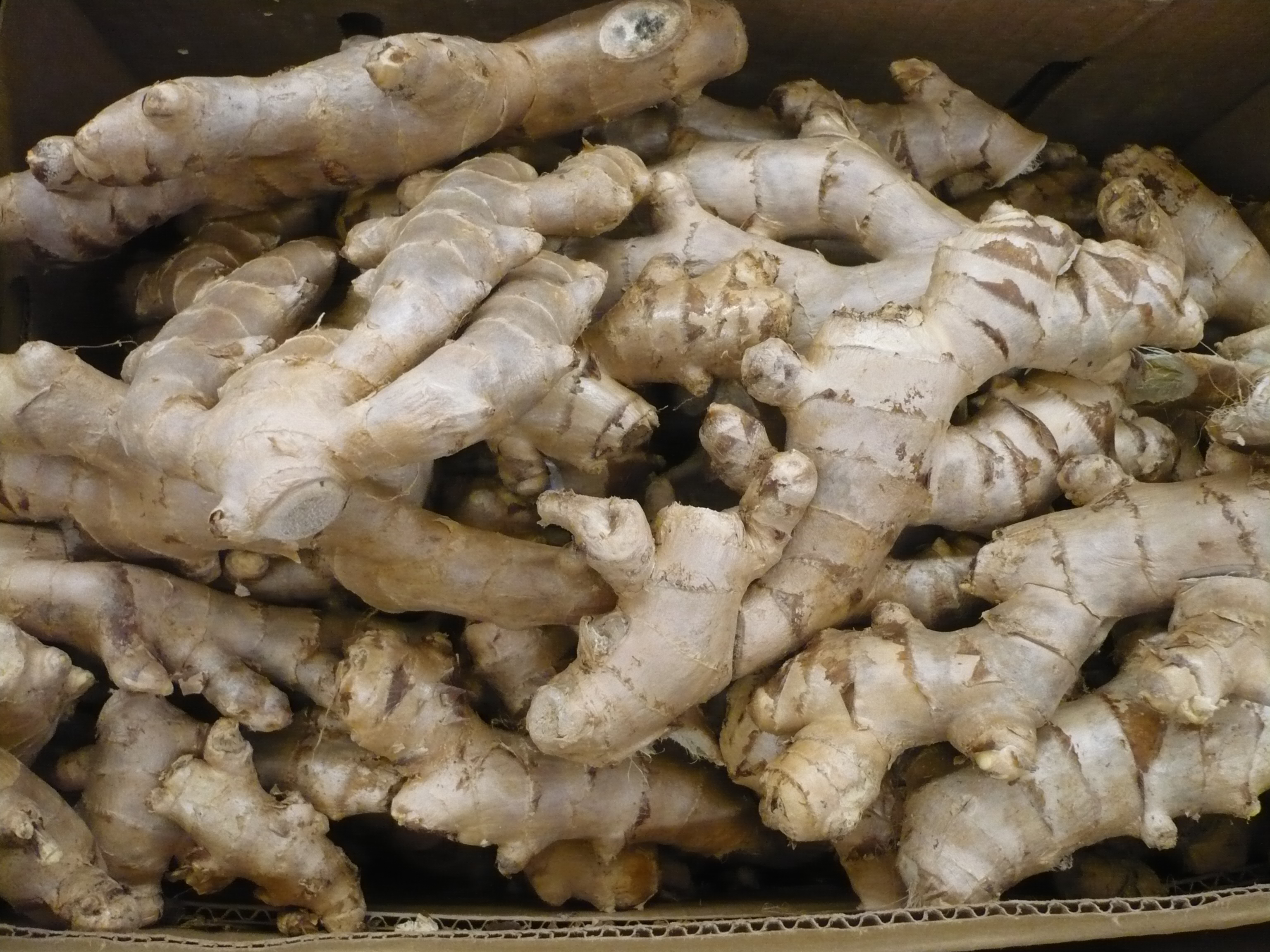 Fresh ginger root pieces piled in a market display box