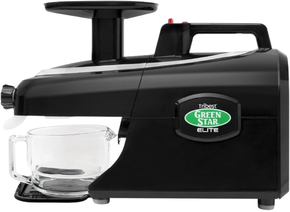 Green Star Elite twin gear juicer